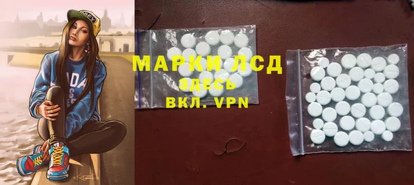 хмурый Аркадак