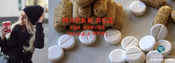 хмурый Аркадак