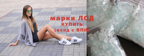 хмурый Аркадак