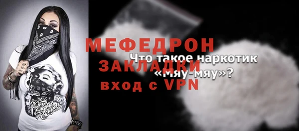 хмурый Аркадак