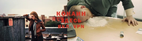 метадон Арсеньев