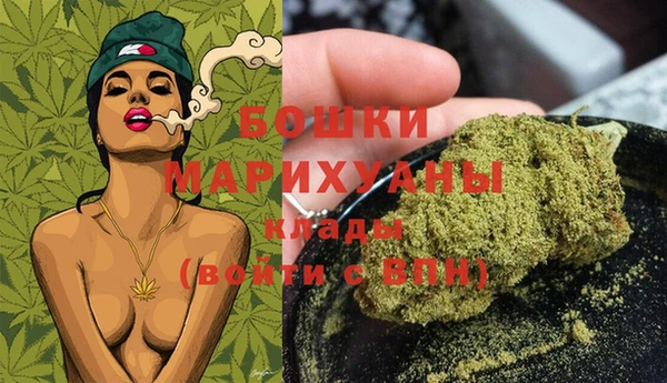 хмурый Аркадак