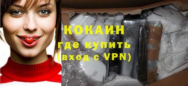 индика Армянск