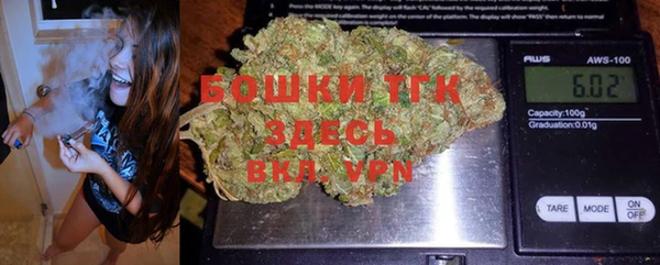 индика Армянск