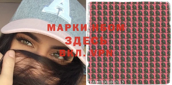 индика Армянск