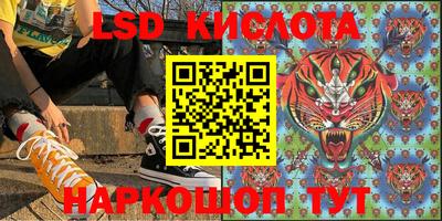 стаф Кулебаки