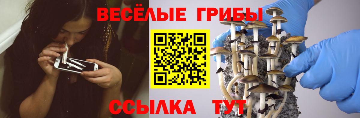 Галлюциногенные грибы MAGIC MUSHROOMS Добрянка